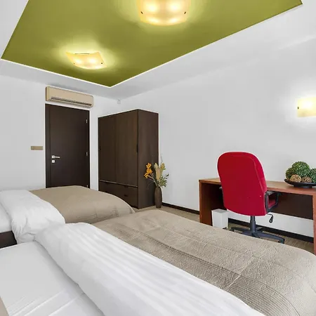 Fresh Lime In Center 브라티슬라바